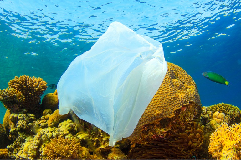 Un sac à linge pour éviter la pollution des mers